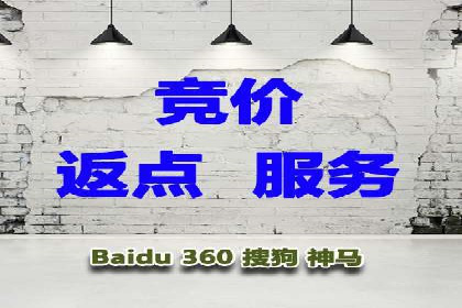 百度竞价代运营的长期效益与价值探讨